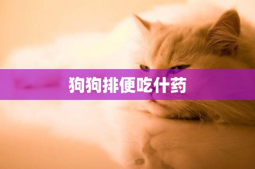 狗狗排便吃什药